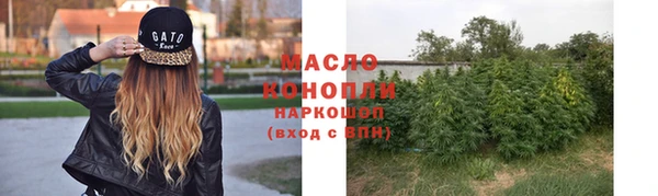 хмурый Ладушкин