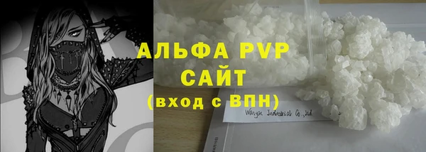 хмурый Ладушкин