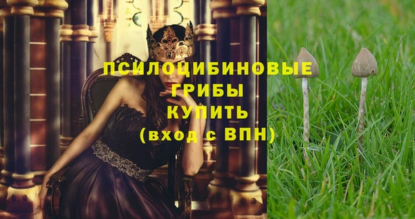 круглые Лагань