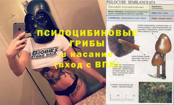 хмурый Ладушкин