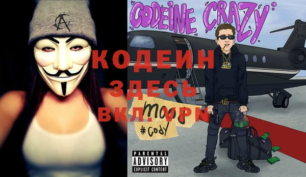 хмурый Ладушкин