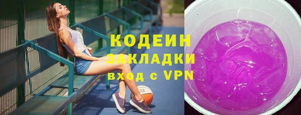 хмурый Ладушкин