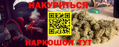 шишки Будённовск