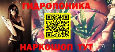 шишки Будённовск