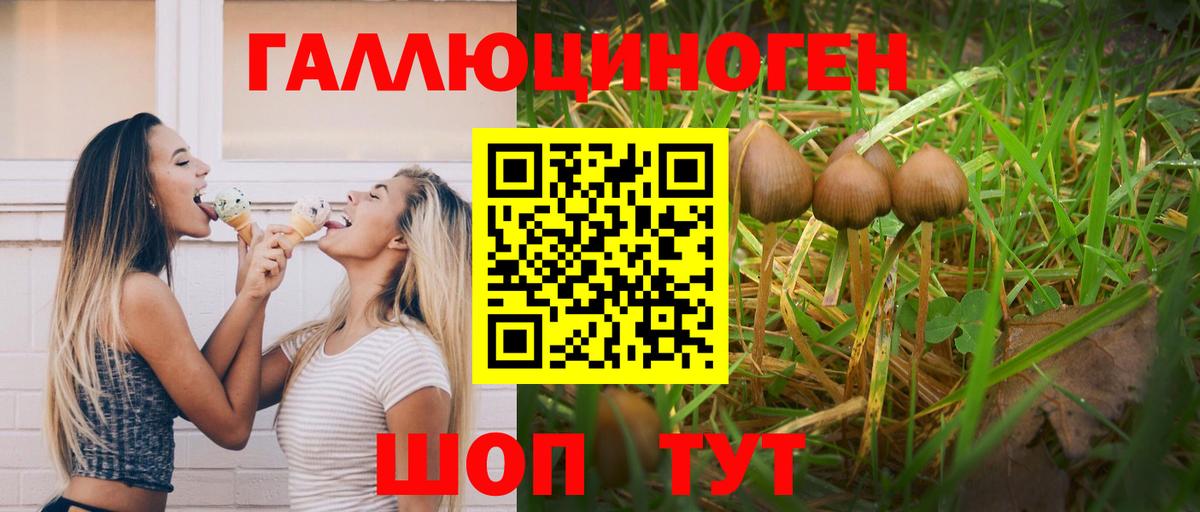 Галлюциногенные грибы GOLDEN TEACHER Дербент