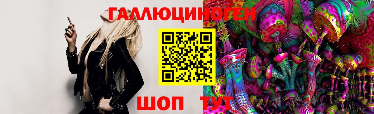 Псилоцибиновые грибы GOLDEN TEACHER  Дербент 