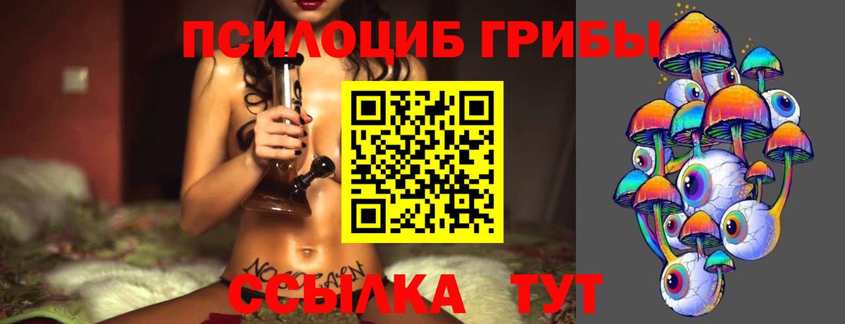 Псилоцибиновые грибы Psilocybe  Вход с VPN  продажа наркотиков  Дербент 